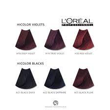 L'OREAL EXCELLENCE HICOLOR BLACKS/VIOLETS 1.74oz