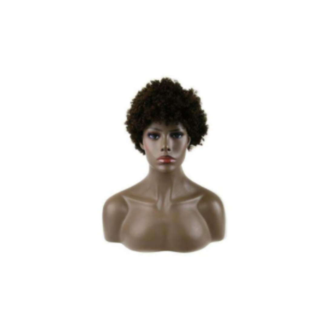 CLIMAX WIG- HUMAN HAIR AFRICANA