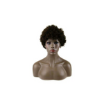 CLIMAX WIG- HUMAN HAIR AFRICANA